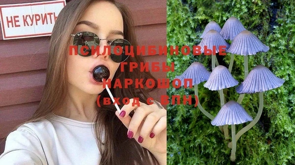 альфа пвп Богородицк